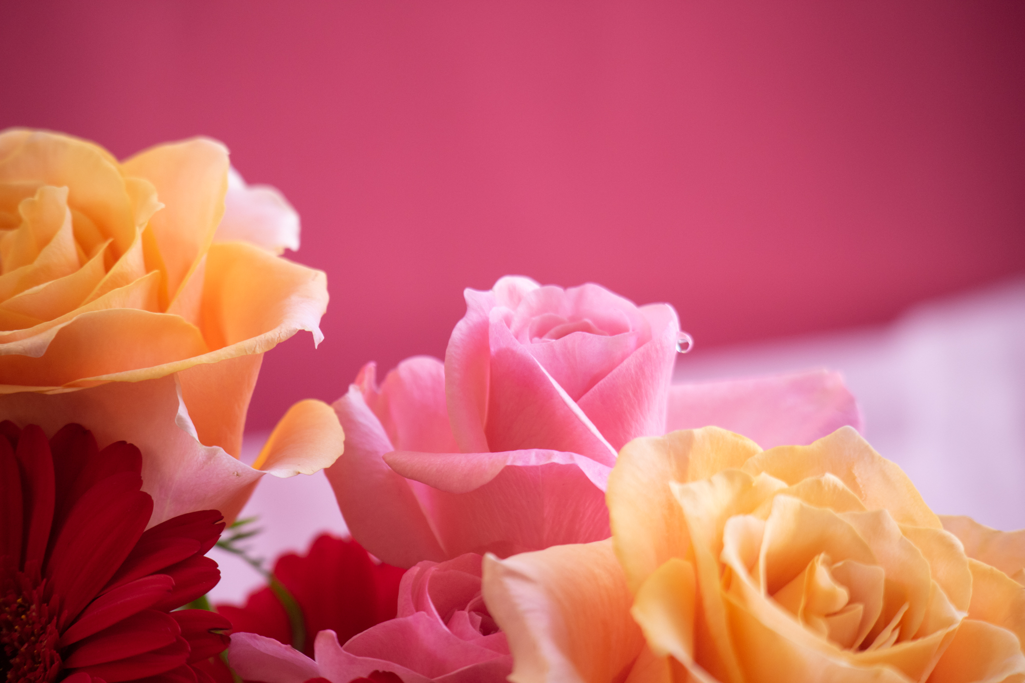 皮膚疾患の予防